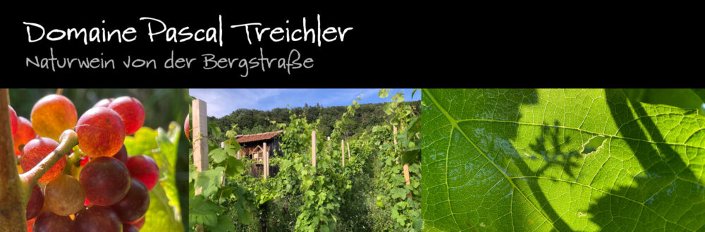 Domaine Pascal Treichler